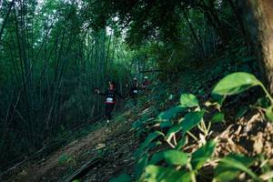 BIB: 
                            <button type="button" onclick="openModal(28124382)" class="btn btn-primary btn-sm float-right btn-popup" data-toggle="modal" data-target=".modal-high-quality">
                        <i class="fas fa-shopping-cart"></i> Add to Cart
                    </button>
                                            <button type="button" onclick="isThisMe(28124382, true)" class="btn btn-success btn-sm float-right btn-popup btn-isme hidden" data-toggle="tooltip" data-placement="bottom" title="นี่คือรูปของคุณใช่ไหม คลิกที่นี่เพื่อเอาเข้าอัลบั้ม">
                        <i class="fas fa-plus"></i> Add to album
                    </button>
                    <button type="button" onclick="isThisMe(28124382, false)" class="btn btn-warning btn-sm float-right btn-popup btn-isnotme hidden">
                        <i class="fas fa-ban"></i> Remove from album
                    </button>